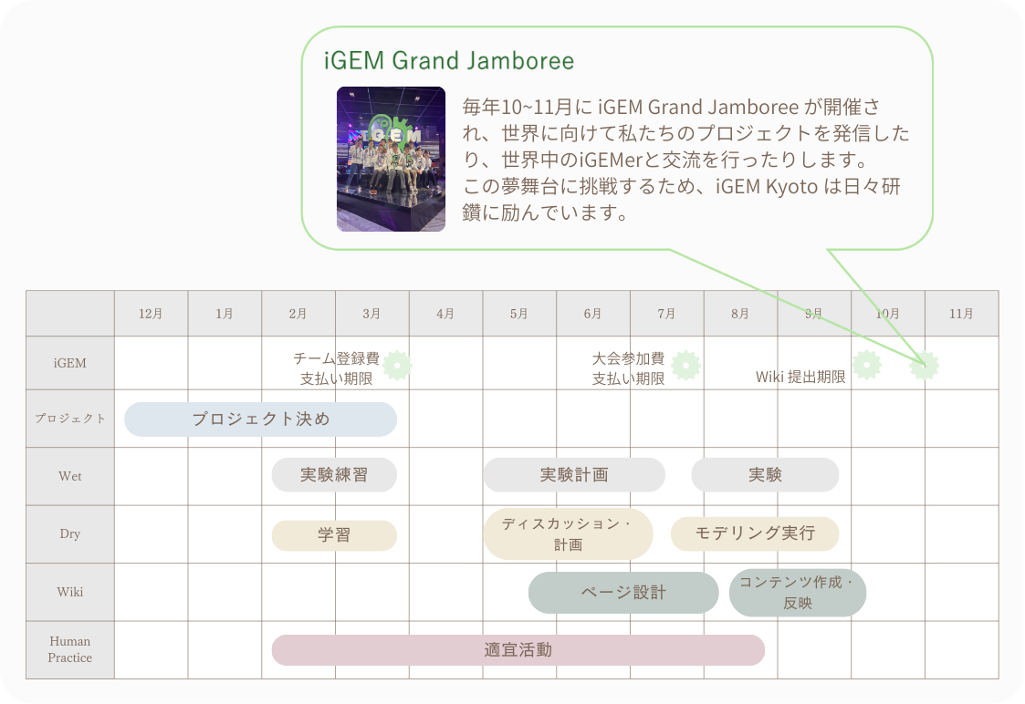 年間スケジュール