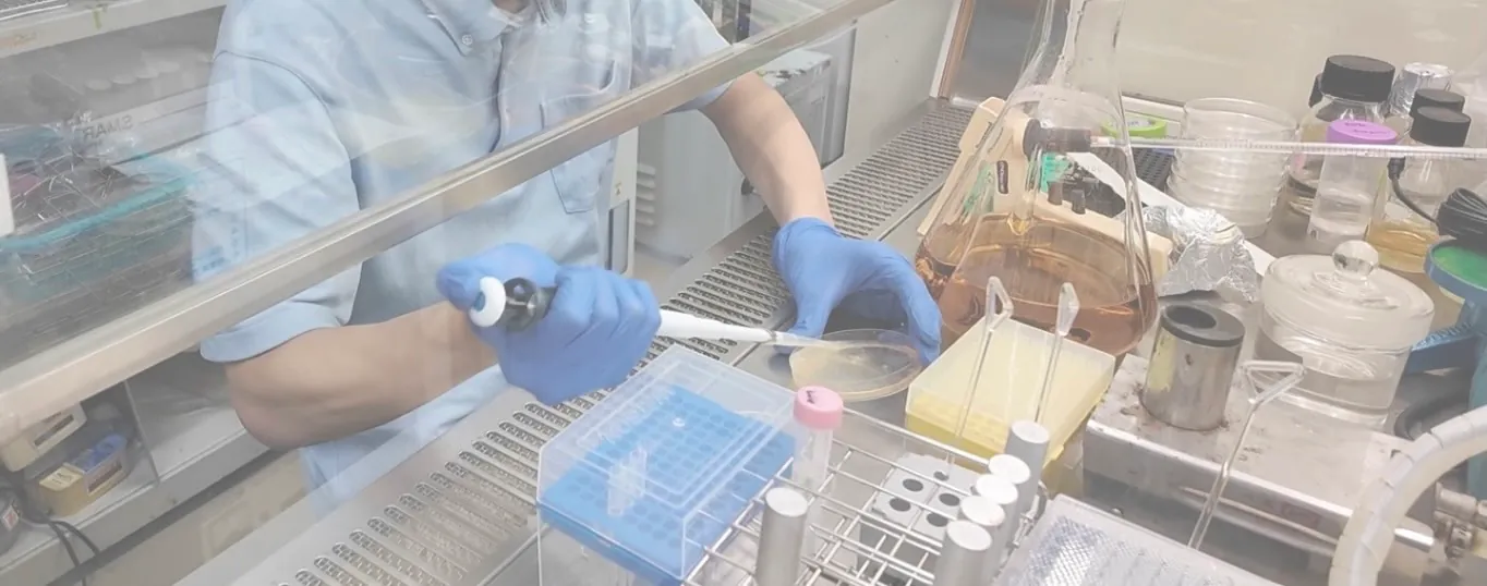 Wetチームの実験風景