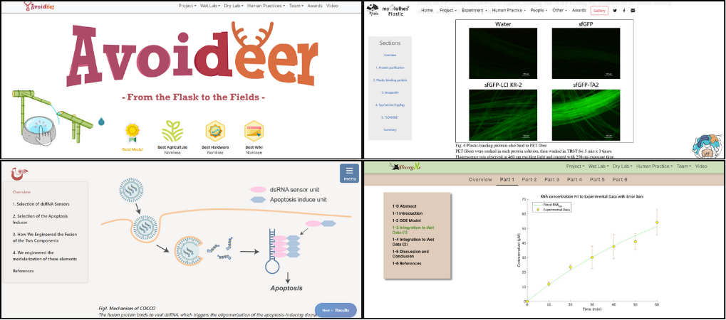 Wiki制作のコーディング画面