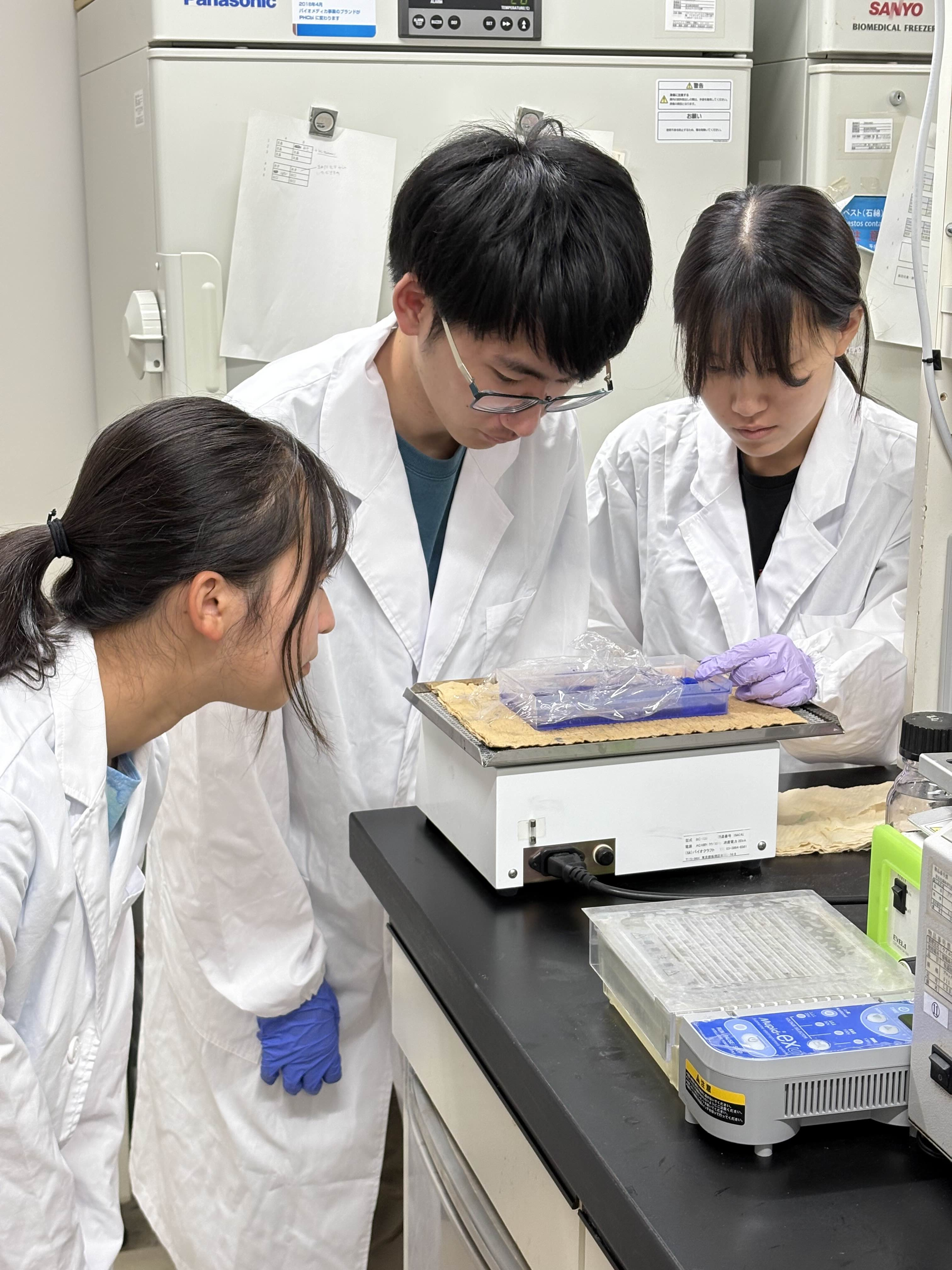 研究室での実験作業