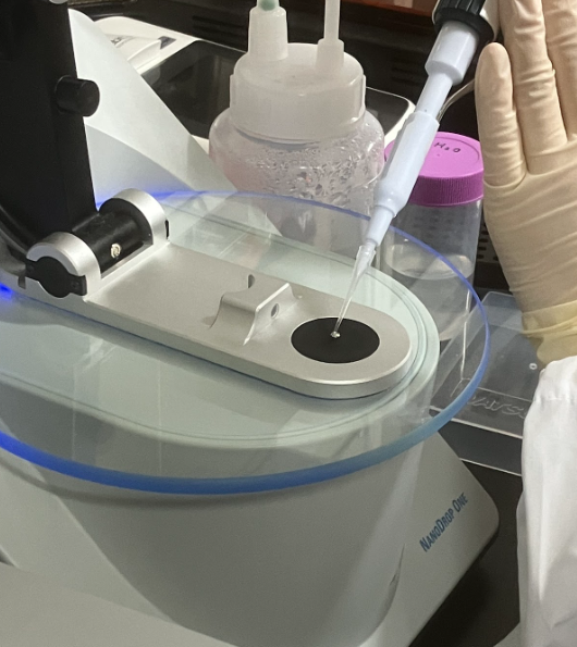 チームでのディスカッション