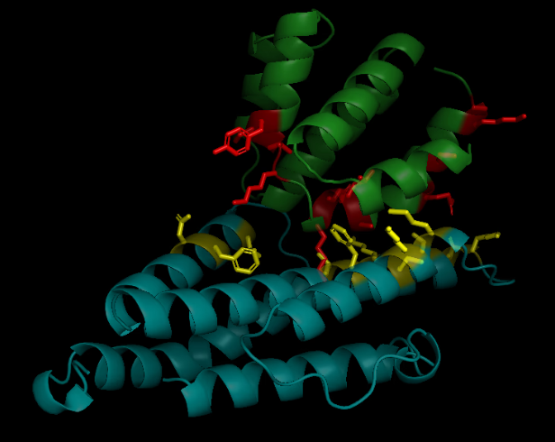 シミュレーション結果2